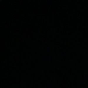 Meet your Posher, Anastasia